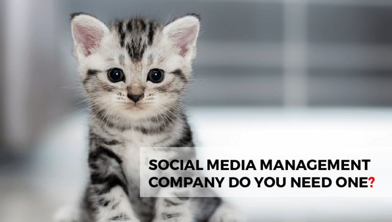 Social Media Management Company: Do You Need One?