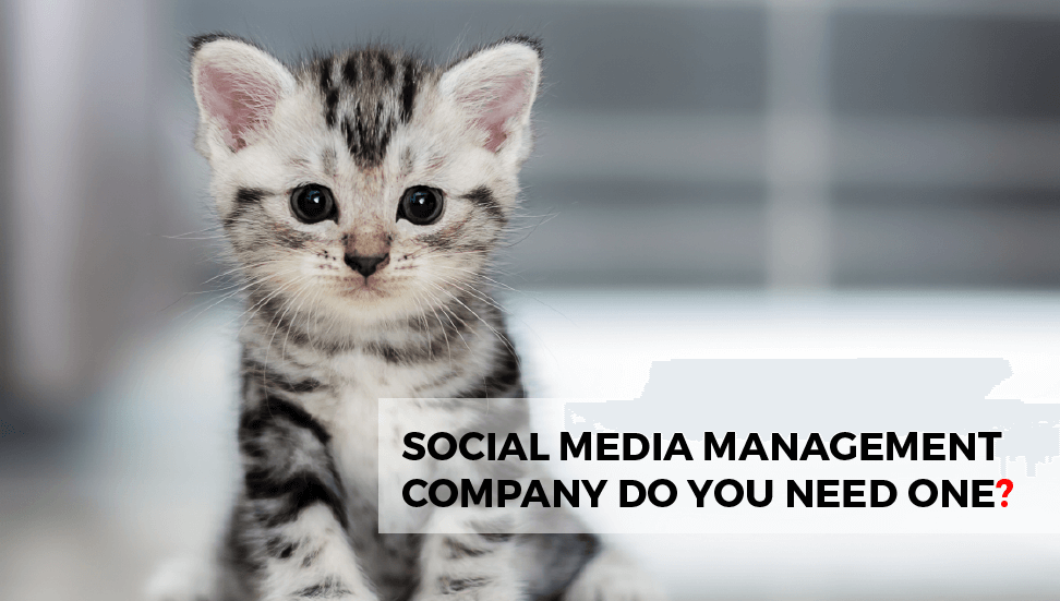 Social Media Management Company: Do You Need One?